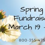spring fundraiser in station news