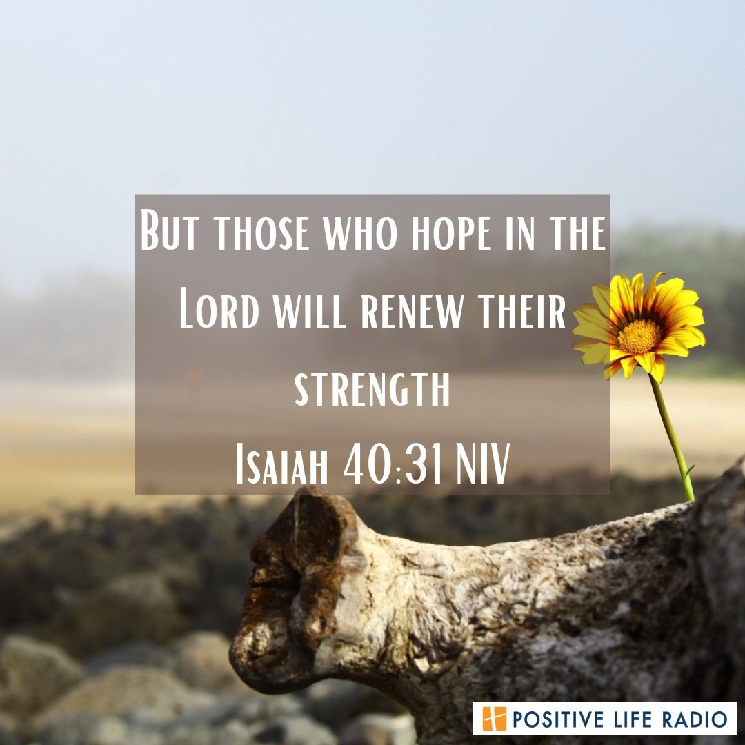 But those who hope in the Lord will renew their strength.
Isaiah 40:31
 #Positiveliferadio #hope #HopeInTheLord