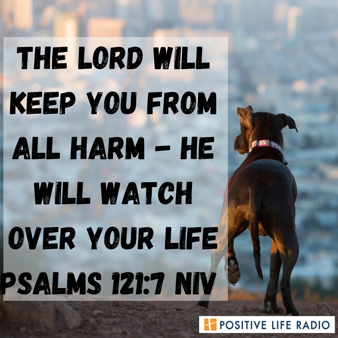 The Lord will keep you from all harm - He will watch over your life.
Psalms 121:7 NIV
 #Positiveliferadio #godwillprotect #GodWillProtectUs #TrustGod