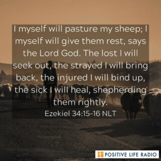 I myself will pasture my sheep; I myself will give them rest, says the Lord God. The lost I will seek out, the strayed I will bring back, the injured I will bind up, the sick I will heal, shepherding them rightly. Ezekiel 34:15-26 NLT
 #positiveliferadio #Godwillguide